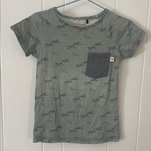 Alba of Denmark Kids Sage Green Tee with Pocket